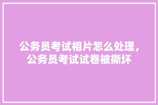 公务员考试相片怎么处理，公务员考试试卷被撕坏 教育科普