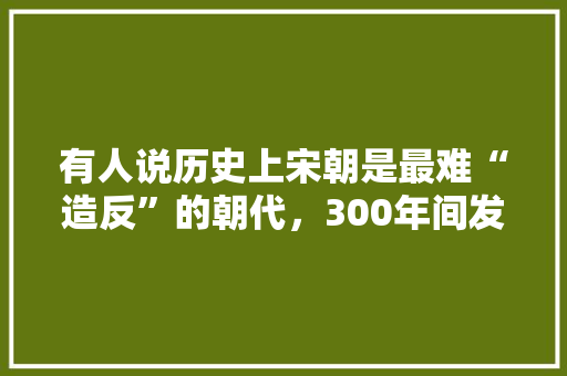 有人说历史上宋朝是最难“造反”的朝代，300年间发生439次起义，为什么都没成功呢，北宋公考行测答案 大学排名