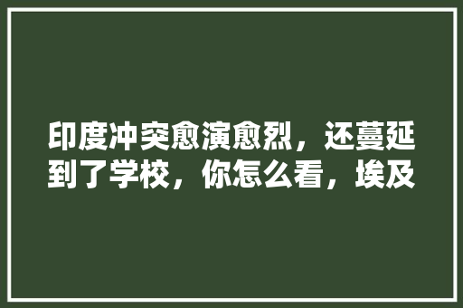 印度冲突愈演愈烈，还蔓延到了学校，你怎么看，埃及公务员考试题及答案 建筑考试