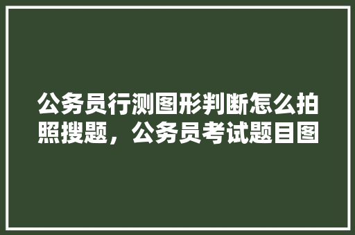 公务员行测图形判断怎么拍照搜题，公务员考试题目图形题 大学排名