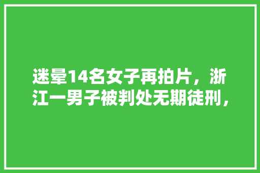 迷晕14名女子再拍片，浙江一男子被判处无期徒刑，怎么回事，
