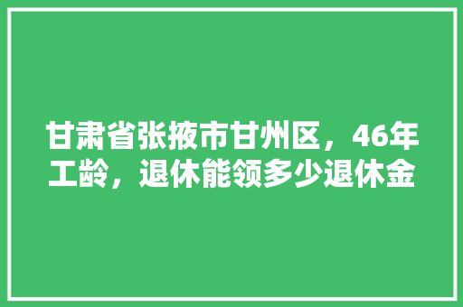 甘肃省张掖市甘州区，46年工龄，退休能领多少退休金，公务员考试题46题