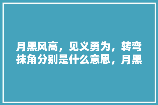 月黑风高，见义勇为，转弯抹角分别是什么意思，月黑风高意思 建筑考试