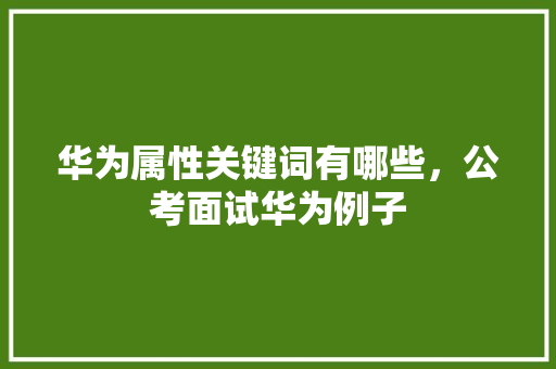 华为属性关键词有哪些，公考面试华为例子