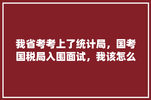 我省考考上了统计局，国考国税局入围面试，我该怎么选择，乡镇公务员执法考试题库 大学排名