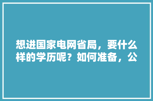 想进国家电网省局，要什么样的学历呢？如何准备，公务员考试题156611