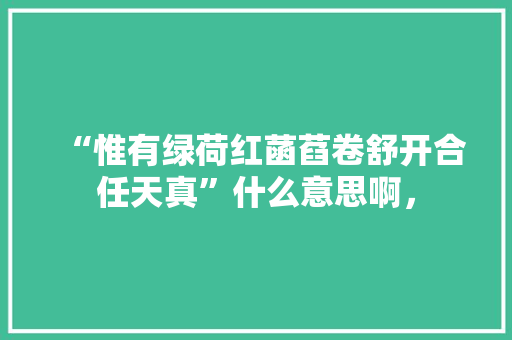 “惟有绿荷红菡萏卷舒开合任天真”什么意思啊， 大学排名