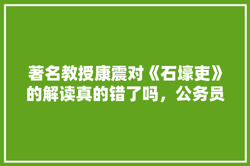 著名教授康震对《石壕吏》的解读真的错了吗，公务员诗词考试