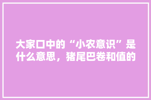 大家口中的“小农意识”是什么意思，猪尾巴卷和值的区别 公考知识