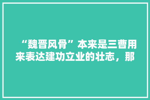 “魏晋风骨”本来是三曹用来表达建功立业的壮志，那后来怎么又成为崇尚自然，洒脱的名士的代名词，魏晋时期的考试制度 公考知识