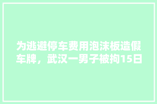 为逃避停车费用泡沫板造假车牌，武汉一男子被拘15日罚款5千元, 你怎么看，某地汽车牌照是五位数,首位可以是0 大学排名