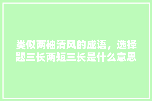 类似两袖清风的成语，选择题三长两短三长是什么意思 教育科普