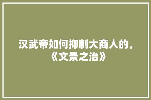 汉武帝如何抑制大商人的，《文景之治》 公考知识