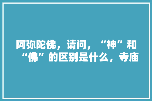 阿弥陀佛，请问，“神”和“佛”的区别是什么，寺庙公务员考试题及答案 专业填报