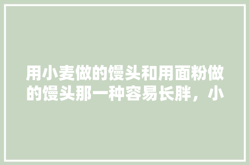 用小麦做的馒头和用面粉做的馒头那一种容易长胖，小麦公考面试怎么样 专业填报