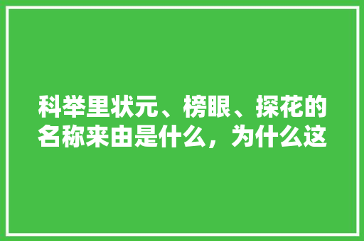 科举里状元、榜眼、探花的名称来由是什么，为什么这么叫，孟郊公务员考试题及答案 公考知识