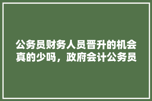公务员财务人员晋升的机会真的少吗，政府会计公务员考试题及答案 专业填报