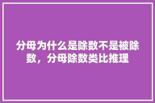 分母为什么是除数不是被除数，分母除数类比推理 专业填报