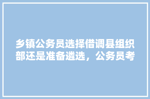 乡镇公务员选择借调县组织部还是准备遴选，公务员考试题型取舍怎么写