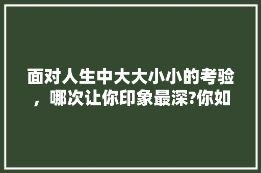面对人生中大大小小的考验，哪次让你印象最深?你如何面对？如何调整自己的心态？有什么经验/故事可以分享么，扶老人问题 公考知识