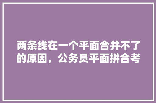 两条线在一个平面合并不了的原因，公务员平面拼合考试题及答案 建筑考试