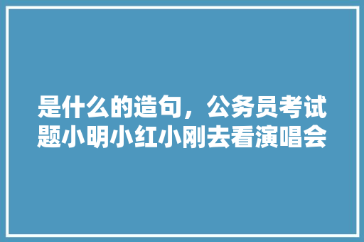 是什么的造句，公务员考试题小明小红小刚去看演唱会