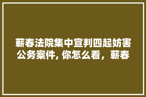 蕲春法院集中宣判四起妨害公务案件, 你怎么看，蕲春公务员考试题目及答案 专业填报