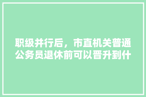 职级并行后，市直机关普通公务员退休前可以晋升到什么职级，公务员职级晋升考试题库 建筑考试