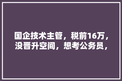 国企技术主管，税前16万，没晋升空间，想考公务员，可以吗，公务员考试小刀 专业填报
