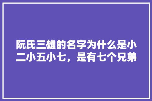 阮氏三雄的名字为什么是小二小五小七，是有七个兄弟吗，庆阳公务员考试题目及答案 大学排名