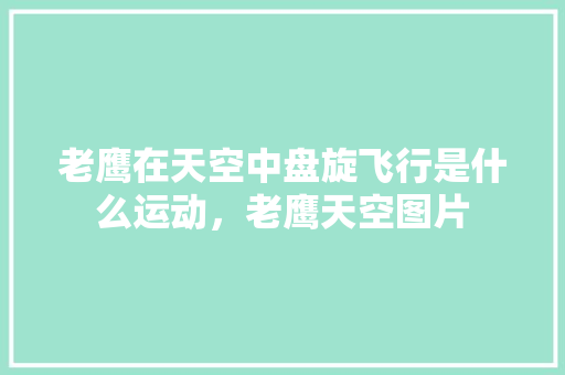 老鹰在天空中盘旋飞行是什么运动，老鹰天空图片 教育科普