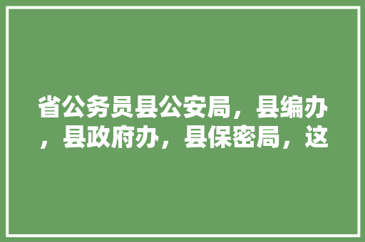 省公务员县公安局，县编办，县政府办，县保密局，这几个岗位怎么选，国家保密局公务员考试题及答案 公考知识