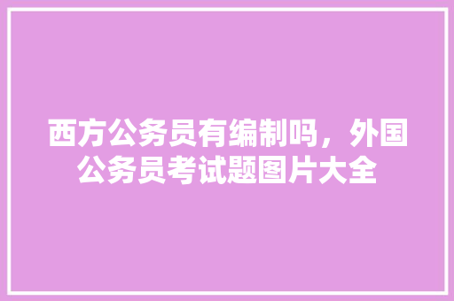 西方公务员有编制吗，外国公务员考试题图片大全 专业填报