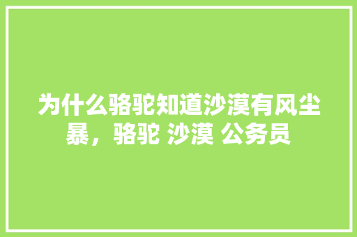 为什么骆驼知道沙漠有风尘暴，骆驼 沙漠 公务员 大学排名