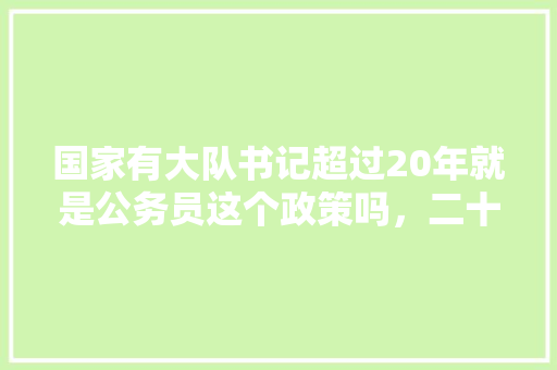 国家有大队书记超过20年就是公务员这个政策吗，二十年前公务员好考吗 教育科普
