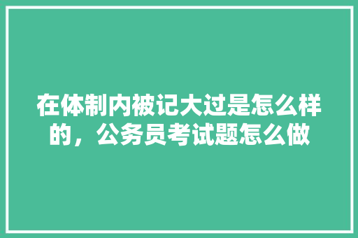 在体制内被记大过是怎么样的，公务员考试题怎么做