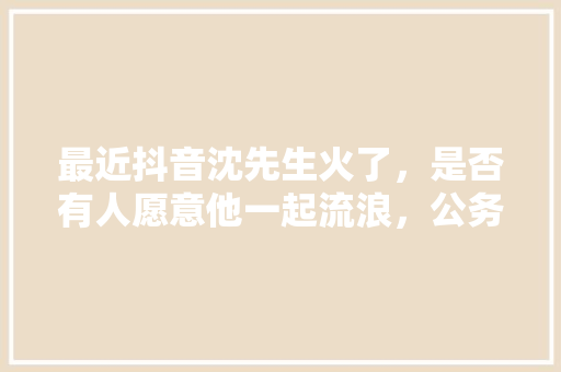 最近抖音沈先生火了，是否有人愿意他一起流浪，公务员考试疯狗题目 教育科普