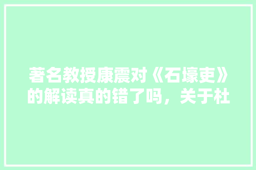 著名教授康震对《石壕吏》的解读真的错了吗，关于杜甫的考试题 建筑考试