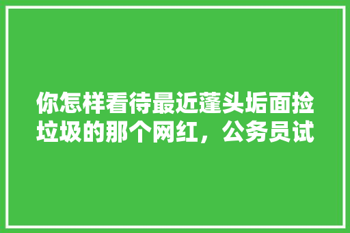 你怎样看待最近蓬头垢面捡垃圾的那个网红，公务员试卷分布 公考知识