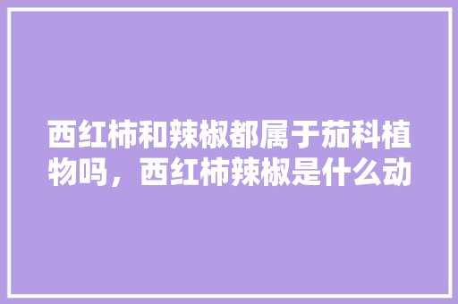 西红柿和辣椒都属于茄科植物吗，西红柿辣椒是什么动画片 大学排名
