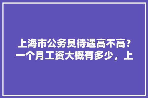 上海市公务员待遇高不高？一个月工资大概有多少，上海最新公务员考试题目 教育科普