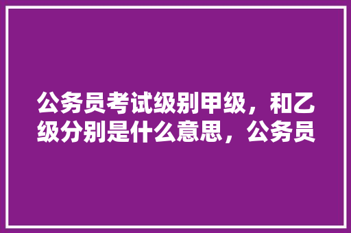 公务员考试级别甲级，和乙级分别是什么意思，公务员乙级考试题目 专业填报
