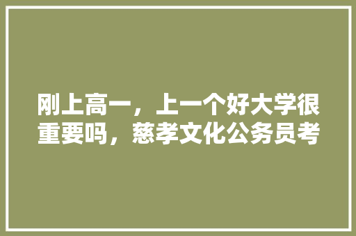 刚上高一，上一个好大学很重要吗，慈孝文化公务员考试题及答案
