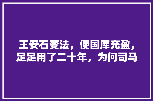 王安石变法，使国库充盈，足足用了二十年，为何司马光、苏轼强烈反对，古代 变法
