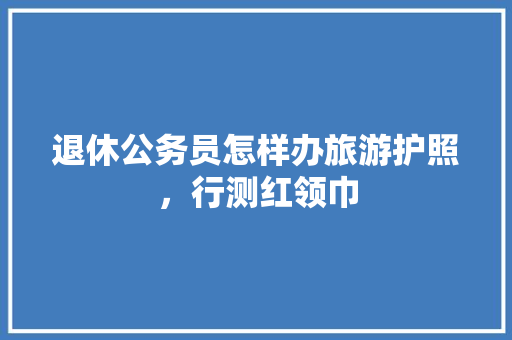 退休公务员怎样办旅游护照，行测红领巾