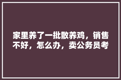 家里养了一批散养鸡，销售不好，怎么办，卖公务员考试答案 大学排名