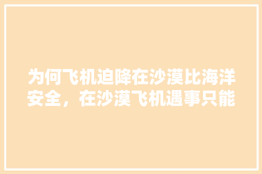 为何飞机迫降在沙漠比海洋安全，在沙漠飞机遇事只能选五样东西
