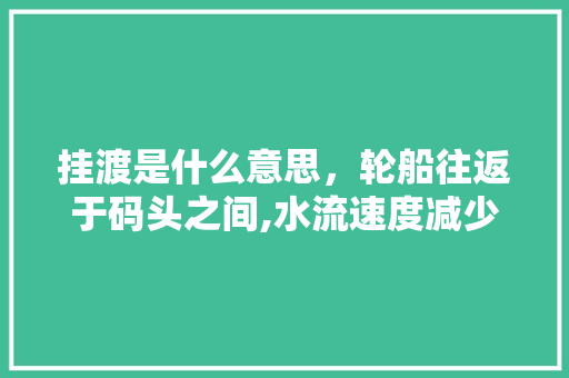 挂渡是什么意思，轮船往返于码头之间,水流速度减少 公考知识