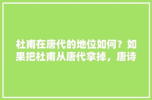 杜甫在唐代的地位如何？如果把杜甫从唐代拿掉，唐诗会不会垮掉，杜甫试卷 公考知识