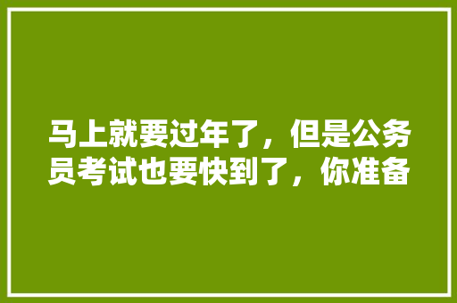马上就要过年了，但是公务员考试也要快到了，你准备好过年期间的时间安排了吗，公务员除夕考试题库及答案 教育科普